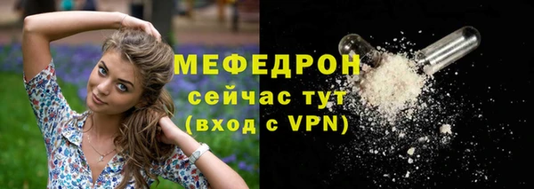 МДПВ Бородино