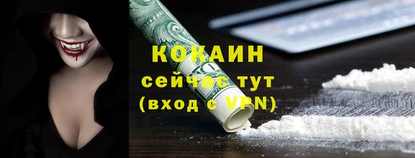МДПВ Бородино