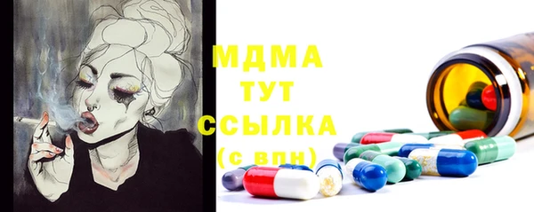 МДПВ Бородино