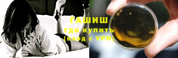 МДПВ Бородино