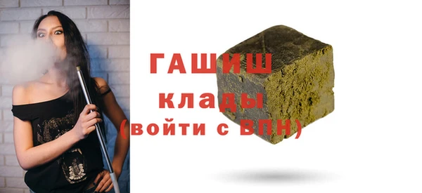 МДПВ Бородино
