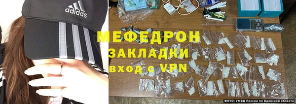 МДПВ Бородино