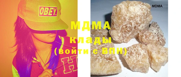 МДПВ Бородино