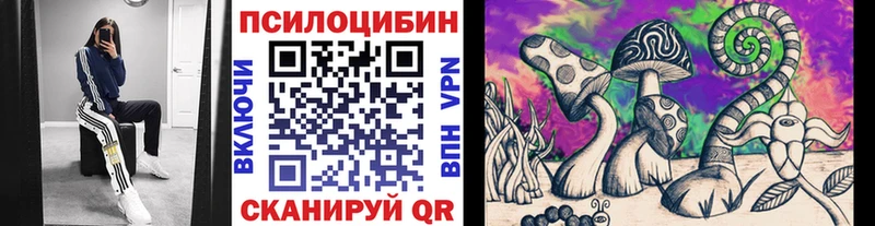Псилоцибиновые грибы Psilocybine cubensis  Вилюйск 
