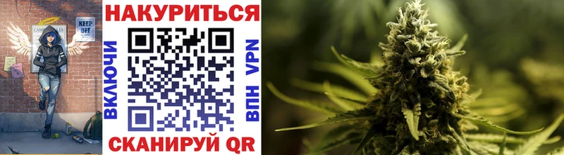 Конопля гибрид Вилюйск