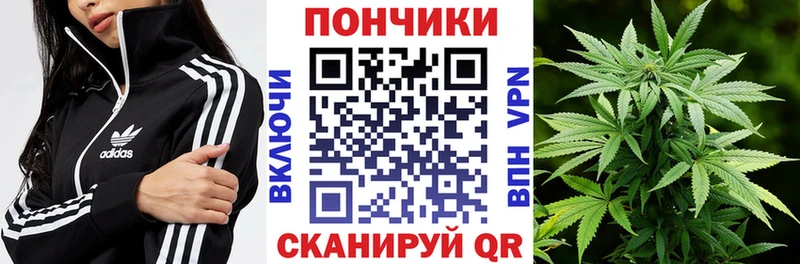 как найти закладки  Вилюйск  hydra сайт  Канабис Ganja 